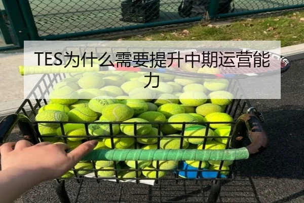 TES为什么需要提升中期运营能力